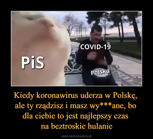 Kiedy koronawirus uderza w Polskę, ale ty rządzisz i masz wy***ane, bo dla ciebie to jest najlepszy czas na beztroskie hulanie –  