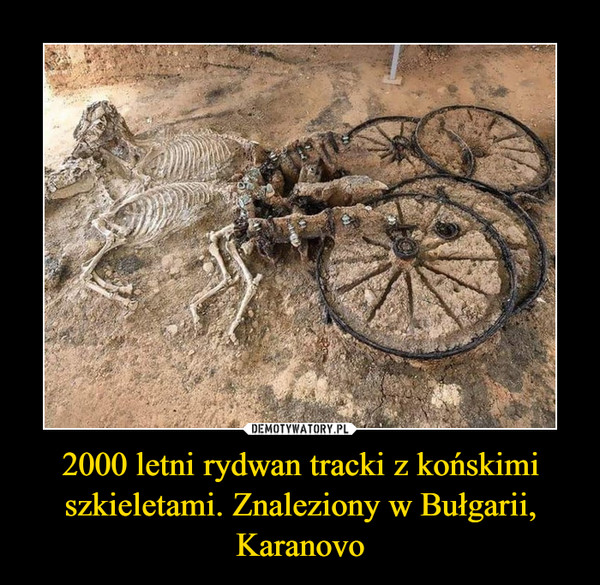 2000 letni rydwan tracki z końskimi szkieletami. Znaleziony w Bułgarii, Karanovo –  