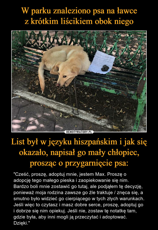 W parku znaleziono psa na ławce
z krótkim liścikiem obok niego List był w języku hiszpańskim i jak się okazało, napisał go mały chłopiec, prosząc o przygarnięcie psa: