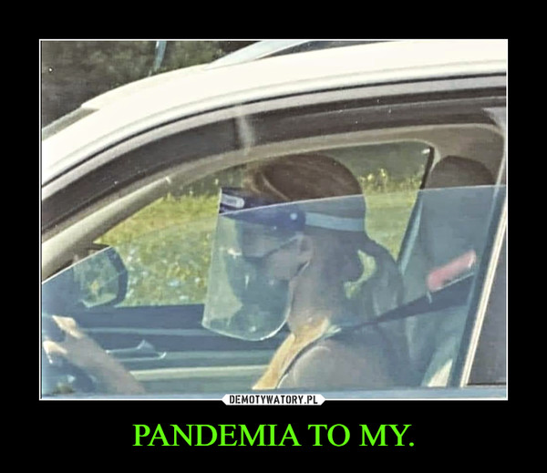 PANDEMIA TO MY.