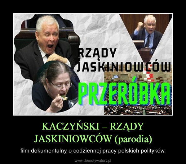 KACZYŃSKI – RZĄDY JASKINIOWCÓW (parodia) – film dokumentalny o codziennej pracy polskich polityków. 