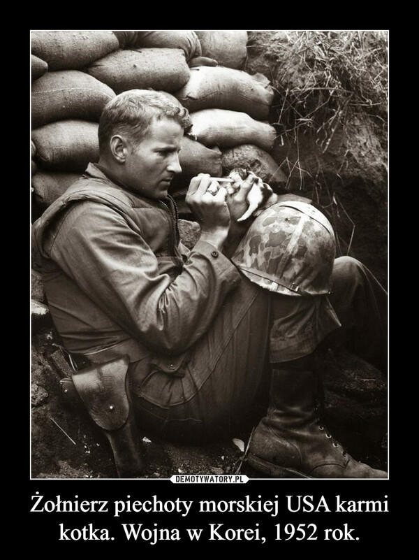 Żołnierz piechoty morskiej USA karmi kotka. Wojna w Korei, 1952 rok. –  