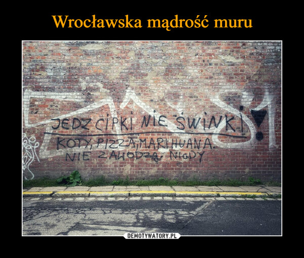 Wrocławska mądrość muru