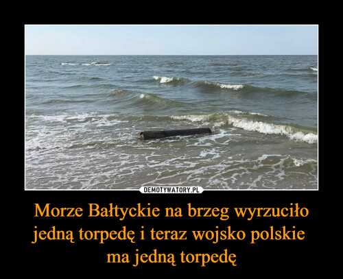 Morze Bałtyckie na brzeg wyrzuciło jedną torpedę i teraz wojsko polskie 
ma jedną torpedę