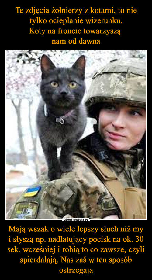 Te zdjęcia żołnierzy z kotami, to nie tylko ocieplanie wizerunku.
Koty na froncie towarzyszą 
nam od dawna Mają wszak o wiele lepszy słuch niż my i słyszą np. nadlatujący pocisk na ok. 30 sek. wcześniej i robią to co zawsze, czyli spierdalają. Nas zaś w ten sposób ostrzegają