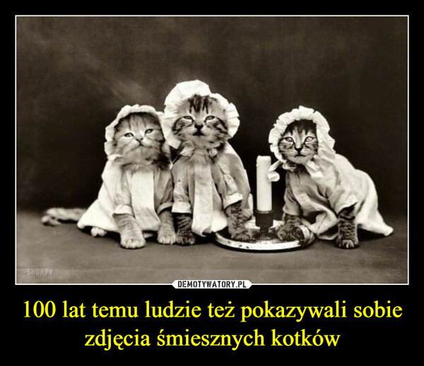 100 lat temu ludzie też pokazywali sobie zdjęcia śmiesznych kotków –  