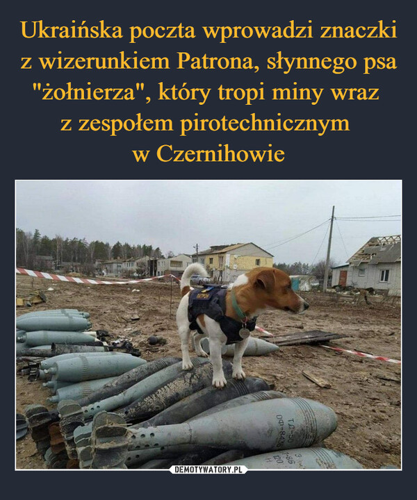 Ukraińska poczta wprowadzi znaczki z wizerunkiem Patrona, słynnego psa "żołnierza", który tropi miny wraz 
z zespołem pirotechnicznym 
w Czernihowie