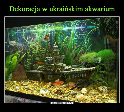 Dekoracja w ukraińskim akwarium