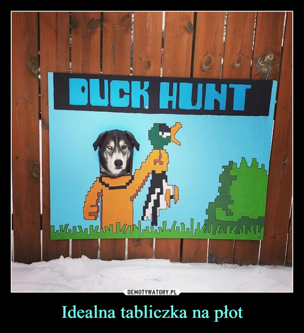 Idealna tabliczka na płot –  Duck hunt