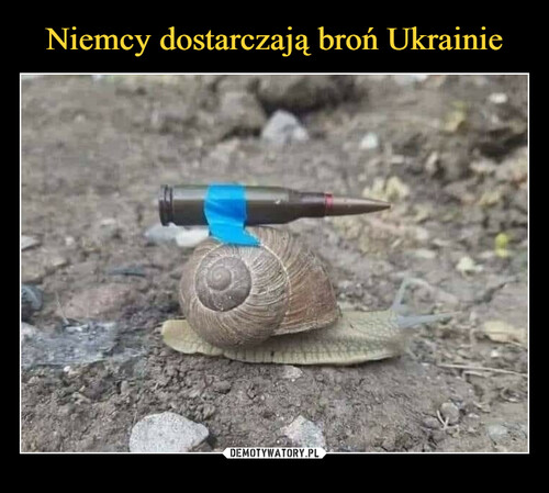 Niemcy dostarczają broń Ukrainie