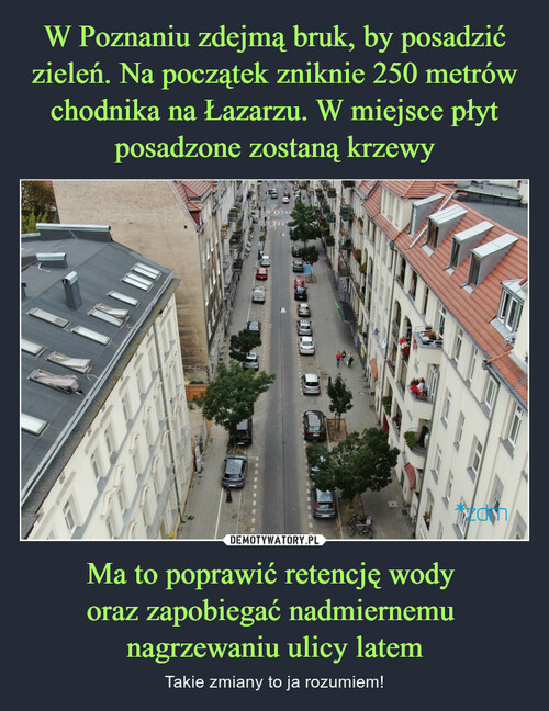 W Poznaniu zdejmą bruk, by posadzić zieleń. Na początek zniknie 250 metrów chodnika na Łazarzu. W miejsce płyt posadzone zostaną krzewy Ma to poprawić retencję wody 
oraz zapobiegać nadmiernemu 
nagrzewaniu ulicy latem