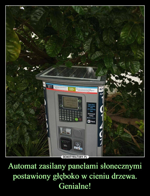 Automat zasilany panelami słonecznymi postawiony głęboko w cieniu drzewa.
Genialne!