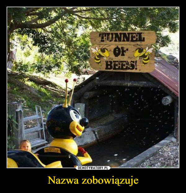 Nazwa zobowiązuje –  tunnel of bees