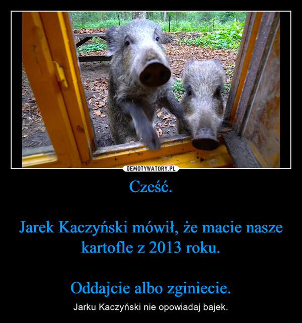 Cześć.Jarek Kaczyński mówił, że macie nasze kartofle z 2013 roku.Oddajcie albo zginiecie. – Jarku Kaczyński nie opowiadaj bajek. 