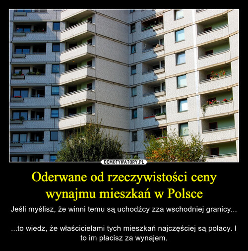 Oderwane od rzeczywistości ceny wynajmu mieszkań w Polsce