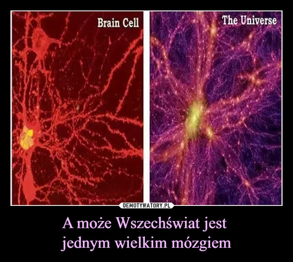 A może Wszechświat jest 
jednym wielkim mózgiem