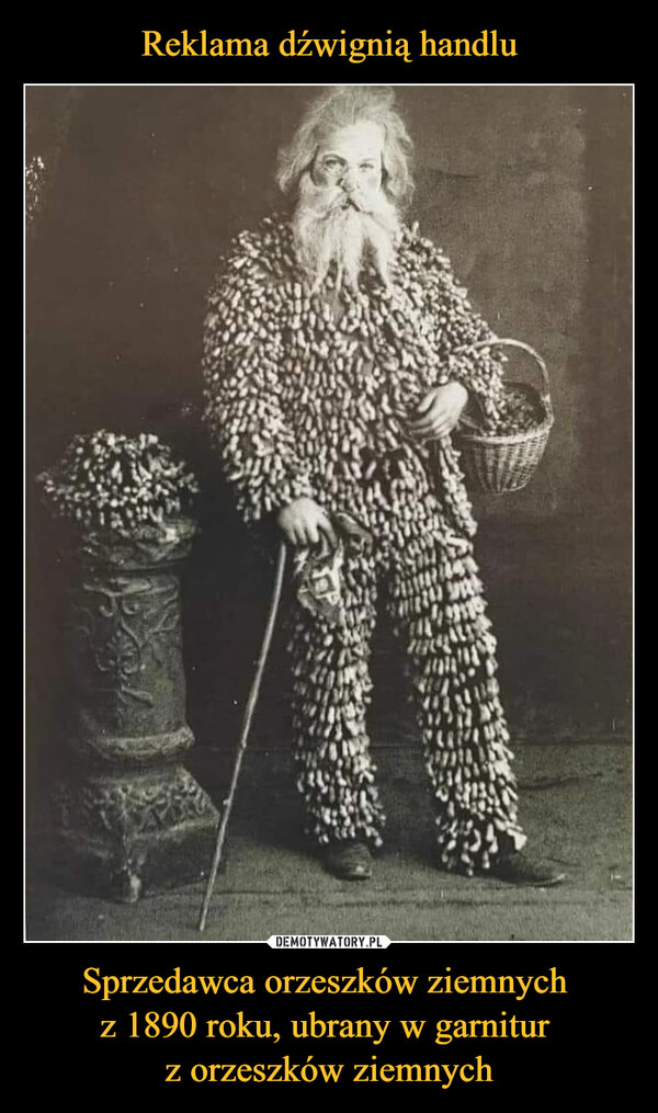 Sprzedawca orzeszków ziemnych z 1890 roku, ubrany w garnitur z orzeszków ziemnych –  انيا