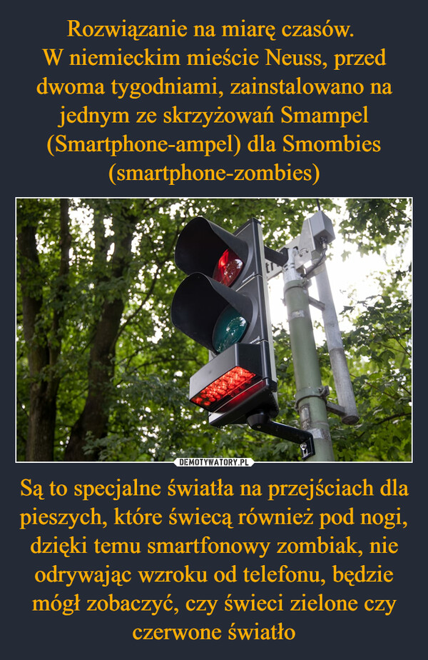 Rozwiązanie na miarę czasów. 
W niemieckim mieście Neuss, przed dwoma tygodniami, zainstalowano na jednym ze skrzyżowań Smampel (Smartphone-ampel) dla Smombies (smartphone-zombies) Są to specjalne światła na przejściach dla pieszych, które świecą również pod nogi, dzięki temu smartfonowy zombiak, nie odrywając wzroku od telefonu, będzie mógł zobaczyć, czy świeci zielone czy czerwone światło