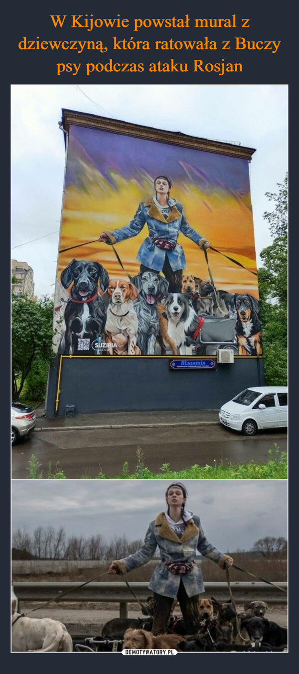 W Kijowie powstał mural z dziewczyną, która ratowała z Buczy psy podczas ataku Rosjan