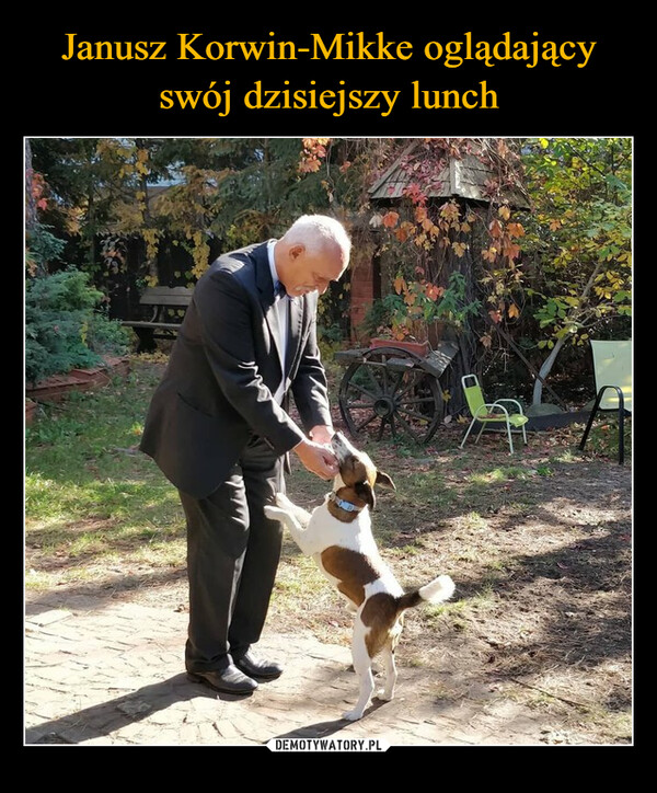 Janusz Korwin-Mikke oglądający swój dzisiejszy lunch