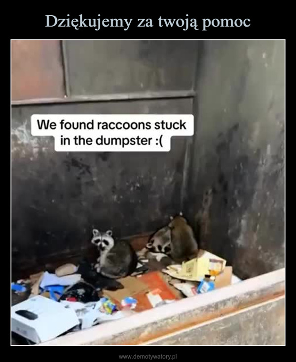  –  We found raccoons stuckin the dumpster :(