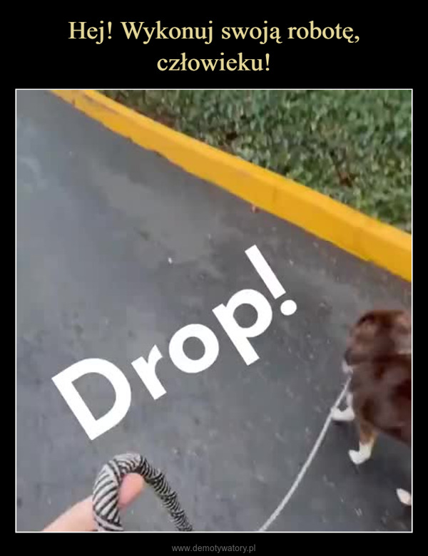  –  Drop!