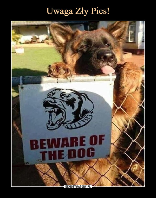  –  beware of the dog